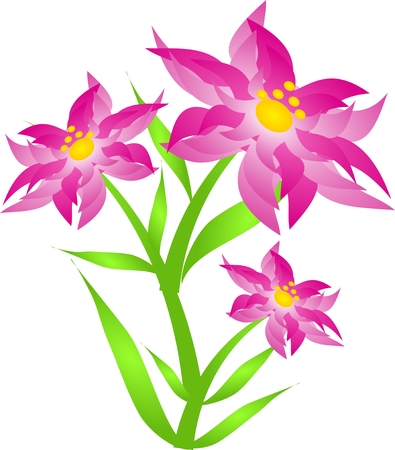Illustration of pink spring flower with leavesの写真素材