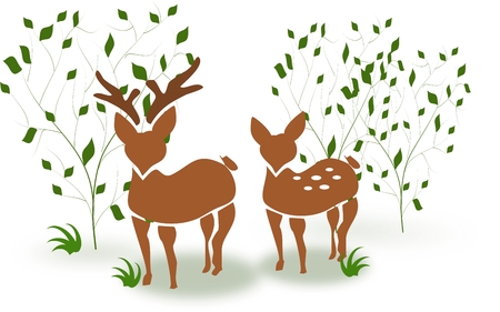 Illustration of couple of deer standing between treesの写真素材