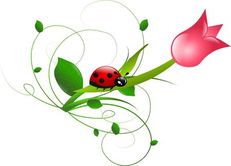 Pink tulip with ladybug on leafの写真素材