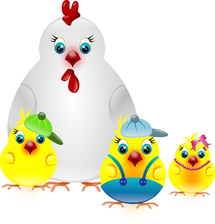 White hen with three yellow chickensの写真素材