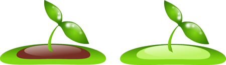 Set of two small green plantの写真素材