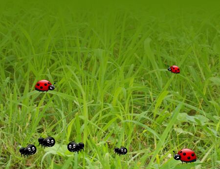 Grass background with illustrations of ladybugs and antsの写真素材