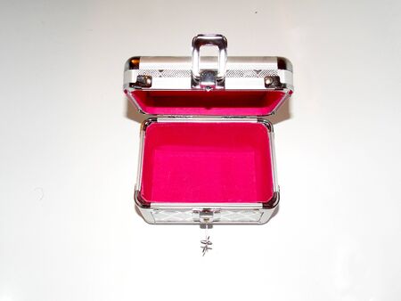 Small opened silver chest with light background and red insideの写真素材