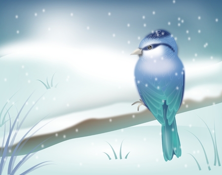 Illustration of blue bird in winterの写真素材