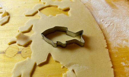 Photo of fish mold on gingerbreads doughの写真素材