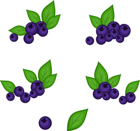 Set of pile of blueberries fruit with leavesのイラスト素材