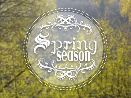 Photo of green trees and circle decoration of spring seasonの写真素材