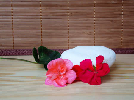 Background with red and pink flower blooms with white rockの写真素材