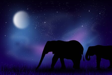 Illustration of night landscape with walking elephantsの写真素材