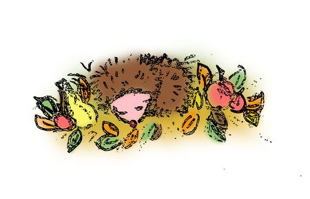 Cute illustration of sleeping hedgehog in autumn leavesの写真素材