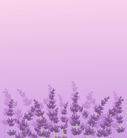 Light purple lavender background with illustration of flowerの写真素材