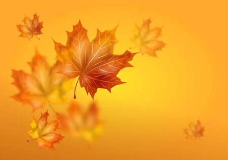 Illustration of yellow autumn background with dry leaves decorationの写真素材