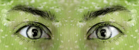 Photo manipulation of green eyes with green backgroundの写真素材
