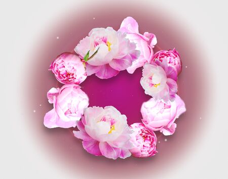 Romantic background with pink peony blossoms circleの写真素材