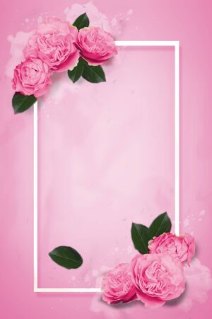 Greeting card with pink roses suitable for wedding or calebrationの写真素材