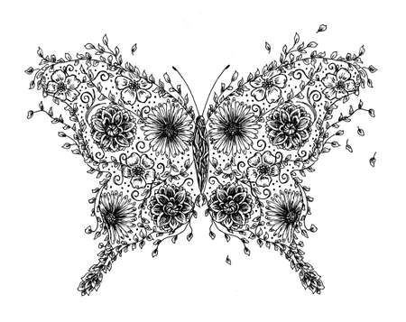 Illustration of black line butterfly with white backgroundの写真素材