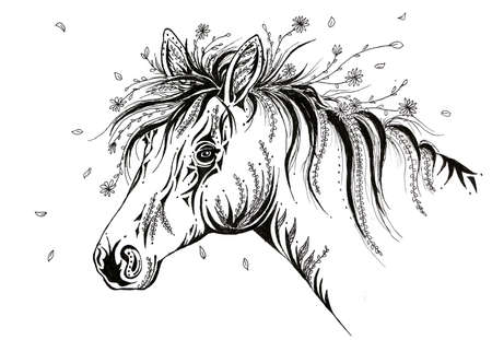 Illustration of horse head black line with floral maneの写真素材