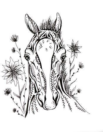 Illustration of horse head black line with floral decorationの写真素材