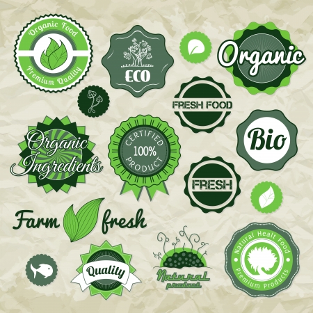 Collection green vector labels, badges and icons, bio eco natural certified fresh theme, vintage retro grunge setのイラスト素材