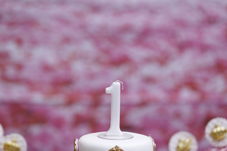 Birthday candle in celebration of 1 year girl - 1 year candle in pink color - First step of life