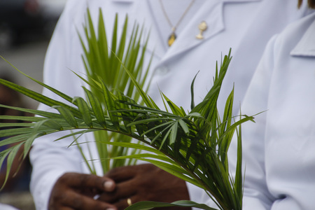 Holy Week. Traditional Catholic celebration Palm Sunday. Christian faith.の写真素材