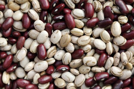 various grains of crude red and white beans - bean texture - food