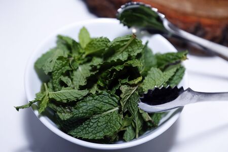 medicinal plant and spice mint leaves Mentha spicata in glass pot