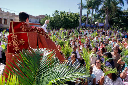 OLIVEIRA, MG / BRAZIL - 2018-03-25: Priest blesses branches in celebration of Palm Sunday