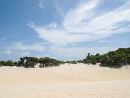 Genipabu Dunes, tourist destination in Natal, northeastern Brazil.の写真素材
