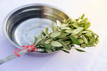 Holy Week. Traditional Catholic celebration Palm Sunday. Christian faith. Religious symbol.の写真素材