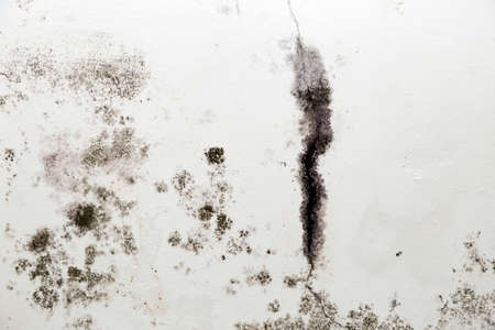 infiltration of water, mold and cracks in the wall and white roof of the house