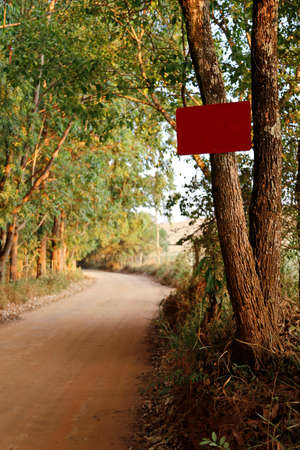 blank red sign pinned to tree during daytime outdoorsの写真素材