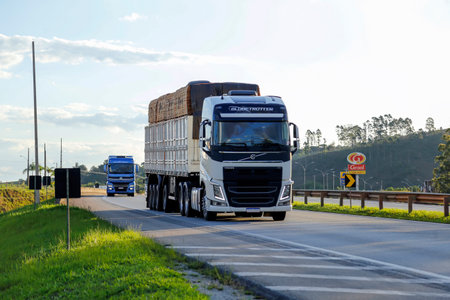 Minas Gerais, Brazil - November 05, 2022: Traffic and movement of transport trucks on Fernao Dias highway, BR 381のeditorial素材