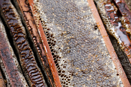 Image of boxes with fresh honeycombs, perfect for projects on beekeeping, natural production,...