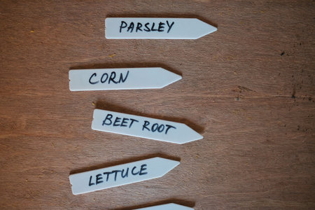 Labels to organize plants in an urban vegetable garden.