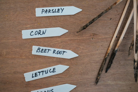 Labels to organize plants in an urban vegetable garden.