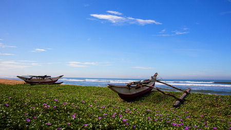 Indian ocean landscape with boat and flowers sunny dayの写真素材
