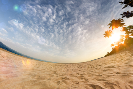 Sunny beach wide angle panoramic view blue sky and seaの写真素材