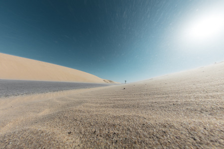 asphalt road desert landscape very wide angleの写真素材