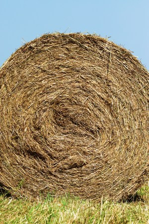 Straw Balesの写真素材