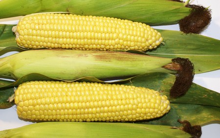 Corn