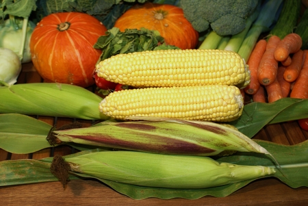 Organic Vegetablesの写真素材