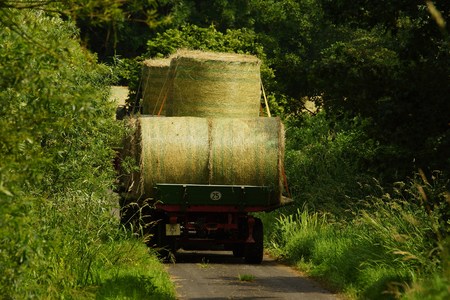 Straw bales on a tractor trailerの写真素材