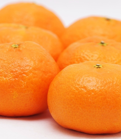 Tangerines on a white backgroundの写真素材
