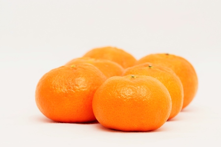 Tangerines on a white backgroundの写真素材