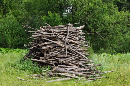 A pile branches on a meadow