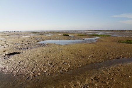 North Sea at low tide in summerの写真素材