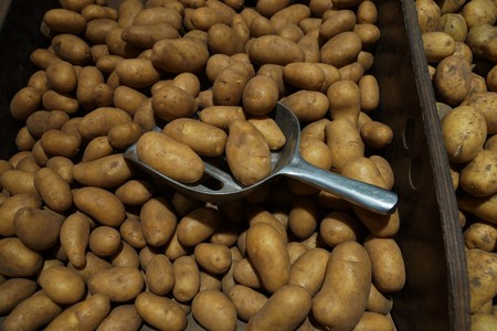 Potatoes in a large crate with a metal scoopの写真素材
