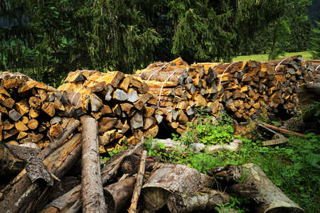 Firewood stack in the Tyrolean Alps in summerの写真素材