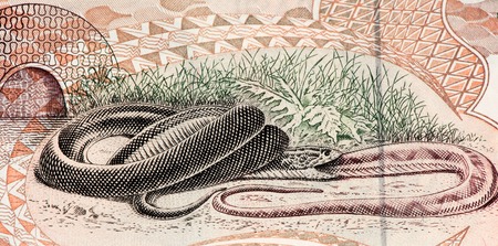 10000 Brasilian cruzeiro bank note. Cruzeiro is the former currency of Brasilの写真素材